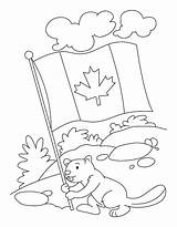 Canada Coloring Beaver Pages Colouring Flag Kids Canadian Happy Print Celebrating Color Sheets Colour Holds Printable Crafts Celebrations Getcolorings Theme sketch template