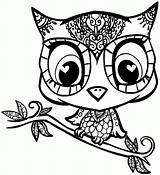 Coloring Pages Abstract Animal Owl Owls Adult Comments sketch template