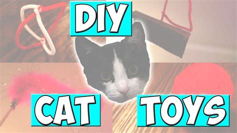 Diy Cat Toys Easy Youtube