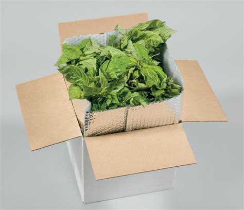cold chain thermal packaging  perfect  shipping foods insulatedpackaging cold chain