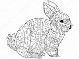 Lapin Coniglio Volwassenen Vektor Vettore Adulti Konijn Vecteur Coloritura Gli Adultes Zentangle Adulte Fantaisie Kanin Människor Vuxna Dragen Degli Kleurplaat sketch template