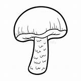 Mushrooms Boletus Edible sketch template