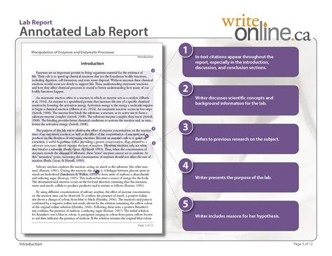 discussion section  lab report examples  discussion