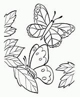 Kolorowanki Motyle Motylami Kolorowania sketch template