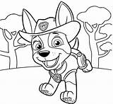 Paw Patrol Coloring Pages Printable Color Print Kids Characters Tracker Pups Chase Skye Girls sketch template