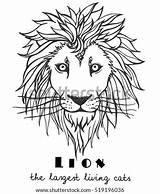 Lion Stencil Coloring Sketch Tattoo Illustration Vector Template Shutterstock Drawn sketch template