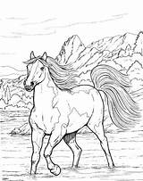 Coloring Horse Pages Adults Horses Kids Animal Realistic Printable Colouring Adult Print Cavalos Color Sheets Books Bestcoloringpagesforkids Drawings Book Burning sketch template