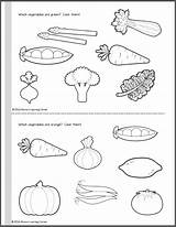Vegetable Worksheet Fruits Esl Mamaslearningcorner Veg Ingles Verduras อาหาร ภาษา นท sketch template