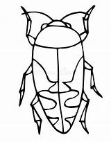 Insect Doodle Bug sketch template