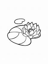 Lily Water Coloring Pages Printable sketch template