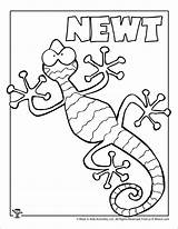 Newt Coloring Pages Kids Letter Printable Worksheets Template Crafts Coloringbay Printables sketch template