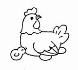 Chicken Coloring Egg Pages Lay Netart Kids sketch template