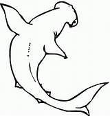 Shark Squalo Kolorowanki Rekin Hammerhead Rekiny Martello Stampare Rechini Squali Ciocan Desene Citeste Pobierz Drukuj Bestcoloringpagesforkids Colorat sketch template