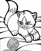 Coloring Pages Kitten Print Printable Color Kittens Getcolorings sketch template