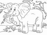 Elefant Malvorlage Große Ausmalbilder Elephant Herunterladen sketch template