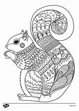 Colouring Mindfulness Animal Pages Coloring Squirrel Autumn Printable Mandala Kids Sheets Twinkl Choose Board sketch template