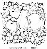 Apricot Pear Grapes sketch template