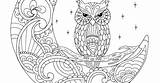 Exotic Coloring Adult sketch template