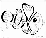 Nemo Coloring Peces Pano Seç sketch template