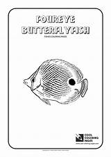 Coloring Butterflyfish Pages Cool Print sketch template