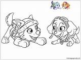 Paw Patrol Coloring Pat Patrouille Pages Coloriage Color Sheets Sur Imprimer Rocky Colorier Everest Chase Print Marshall Dessin Coloringpagesonly sketch template