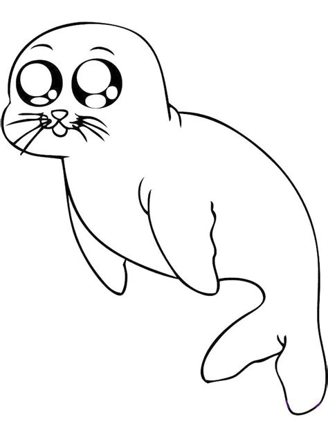 top galery baby seal coloring pages