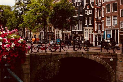 10 fun facts about the netherlands skyflok