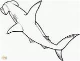 Shark Hammerhead Coloring Pages Divyajanani sketch template