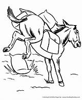 Mule Bucking Honkingdonkey Donkey Designlooter Saddle sketch template