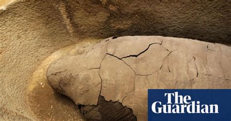 egyptian mummies the latest discoveries science the guardian