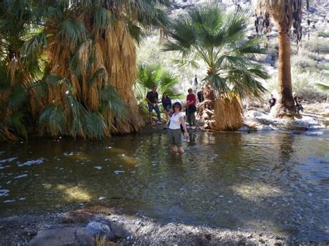 a winter hiking adventure in palm springs historic indian canyons live from la quinta