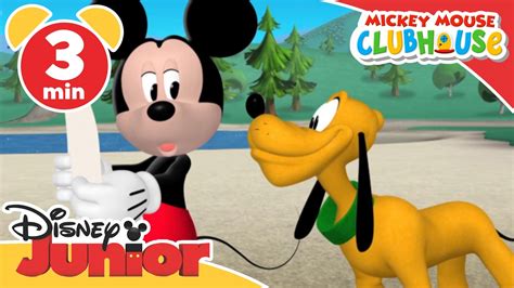 magical moments mickey mouse clubhouse camping disney  xxx hot girl