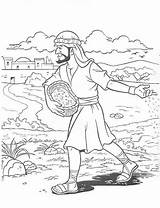 Parable Sower Sembrador Parables Seed Activities Jesús Soils Moses Sämann Contó Historias Sencillas Type4 Colorluna sketch template