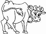 Vaca Pintar Kuh Mucca Boi Fattoria Vache Malvorlagen Vacas Coloriage Colorare Sino Gloeckchen Malerei Ausmalen Stampa Comics Disegno Sapin Perdu sketch template