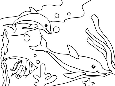 view coloring pages ocean animals pics
