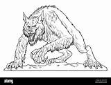Werewolf Monster Coloring Alamy Drawing Template Fantasy Hand Stock Howls Moon High sketch template