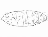 Coloring Pages Archaeology Museum Simon Fraser University Lithic Pdf sketch template
