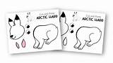 Hare Arctic Preschoolers Simplemomproject sketch template