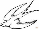 Swallow Schwalbe Schwalben Rondine Rondini Zum Ausmalbild Disegno Ausmalen Stampare Tattoo sketch template
