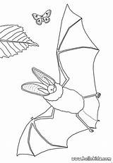 Coloring Bat Toi Butterfly Source Vampire Dracula Bats Pages sketch template