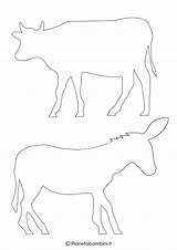 Presepe Sagome Bue Asinello Ritagliare Disegni Colorare Natale Animali Natività Pianetabambini Pecore Feltro Modelli Cavallo Pagine Oggetti Progetti Ben Biblici sketch template