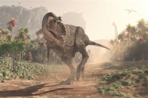 dinosaurs  walk  earth  asteroid hit