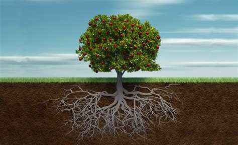 transformational power  root  investing greenbiz