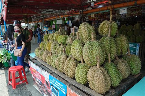 davao durian shortage   festival blamed  climate change