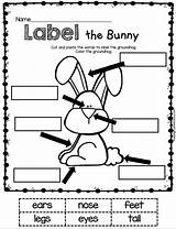 Labeling Literacy Preschool Freebies Paste Printables Easterbunny Bestcoloringpagesforkids Collegesportsmatchups Wixsite Olphreunion Househos sketch template