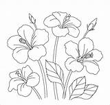 Bunga Mewarnai Sketsa Taman Indah Praktis Sehingga Diajarkan Terapkan Sebelumnya sketch template