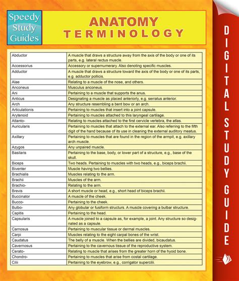 anatomy terminology  speedy publishing book read