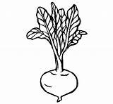 Coloring Pages Beets Healthy sketch template