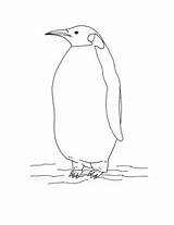 Penguin Emperor Coloring sketch template