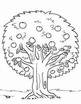 Tree Coloring Apple Pages Drawing Printable Spring Trees Kids sketch template